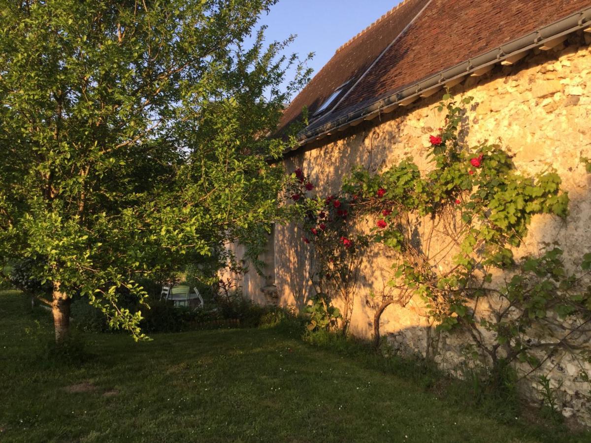 Chambres D'Hotes La Ferme Du Grand Launay Semblançay Eksteriør bilde