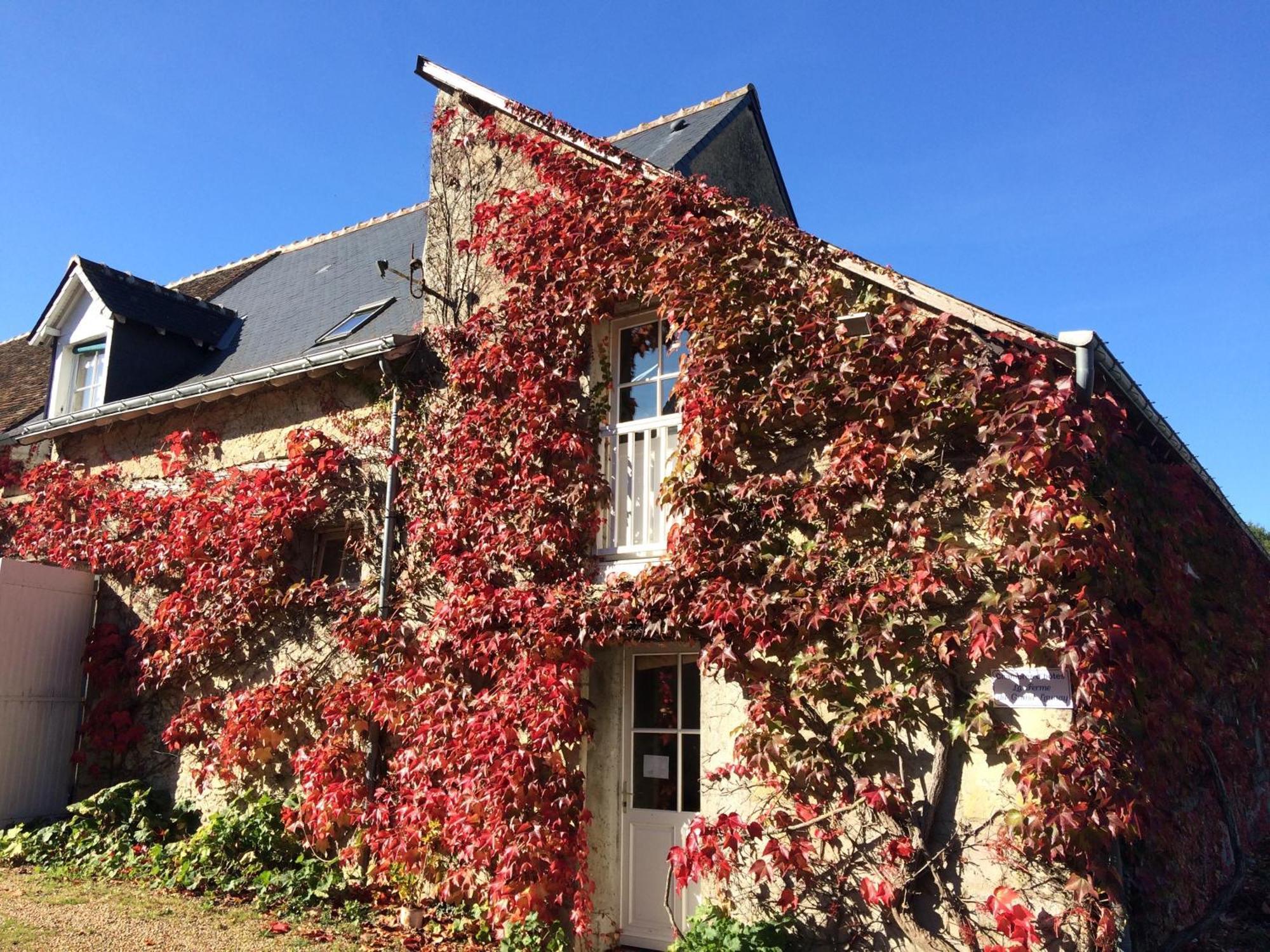 Chambres D'Hotes La Ferme Du Grand Launay Semblançay Eksteriør bilde